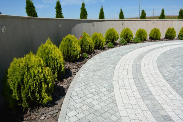 Best Driveway Paving Contractor  in Wasilla, AK